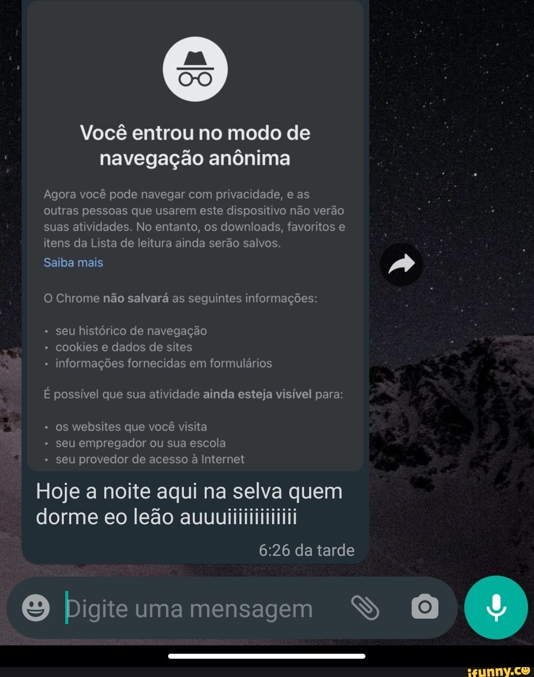 EN Voc entrou no modo de navega o an nima Agora voc pode