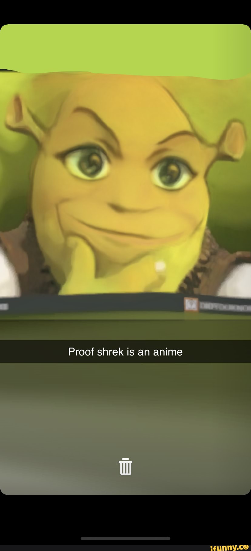 Blursed Anime Shrek : r/blursedimages-demhanvico.com.vn