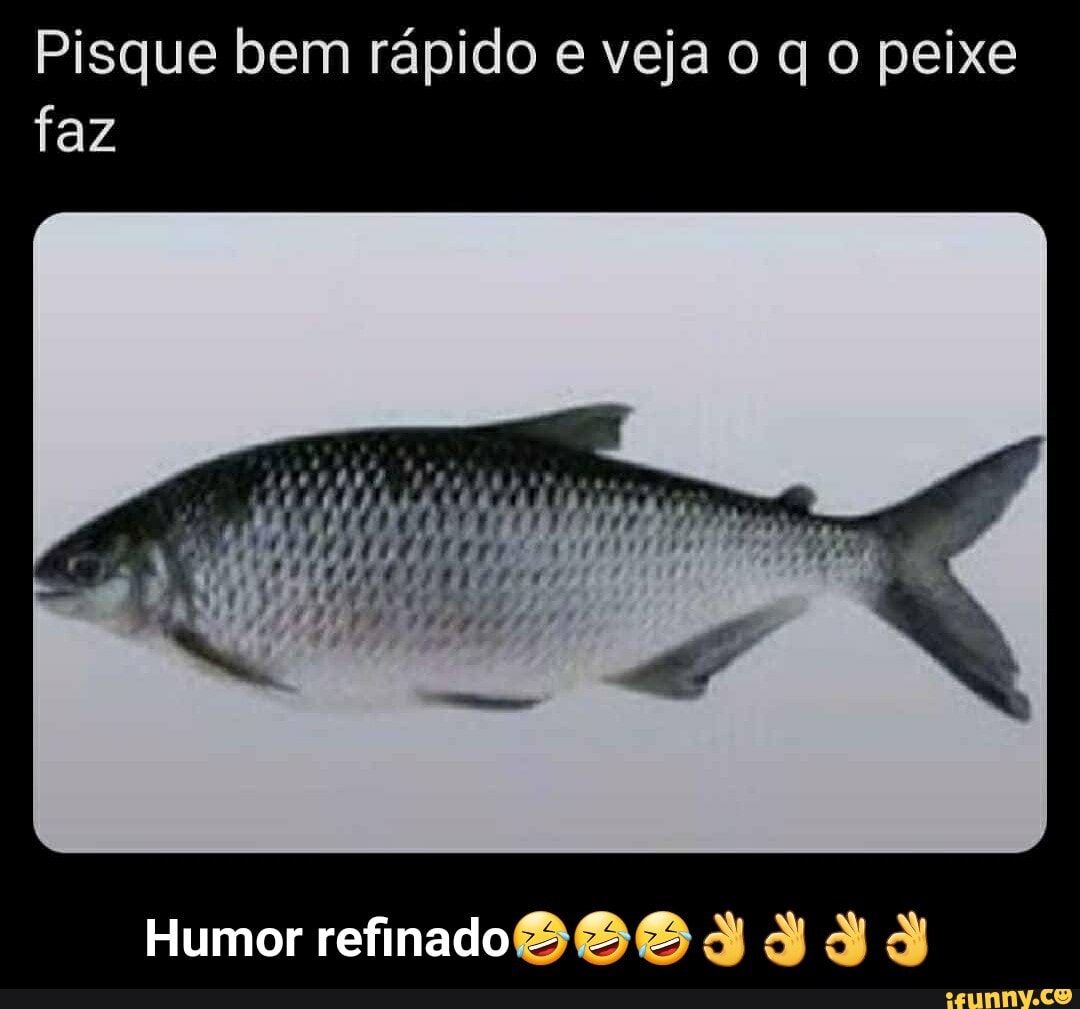 Memes em Imagens (OQmemesemimagens Pisque bem rápido e veja o que