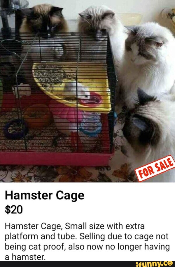 Cat proof outlet hamster cage