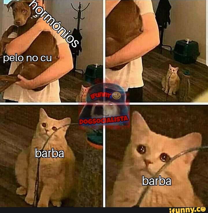 Pelo no cu barba barba iFunny Brazil