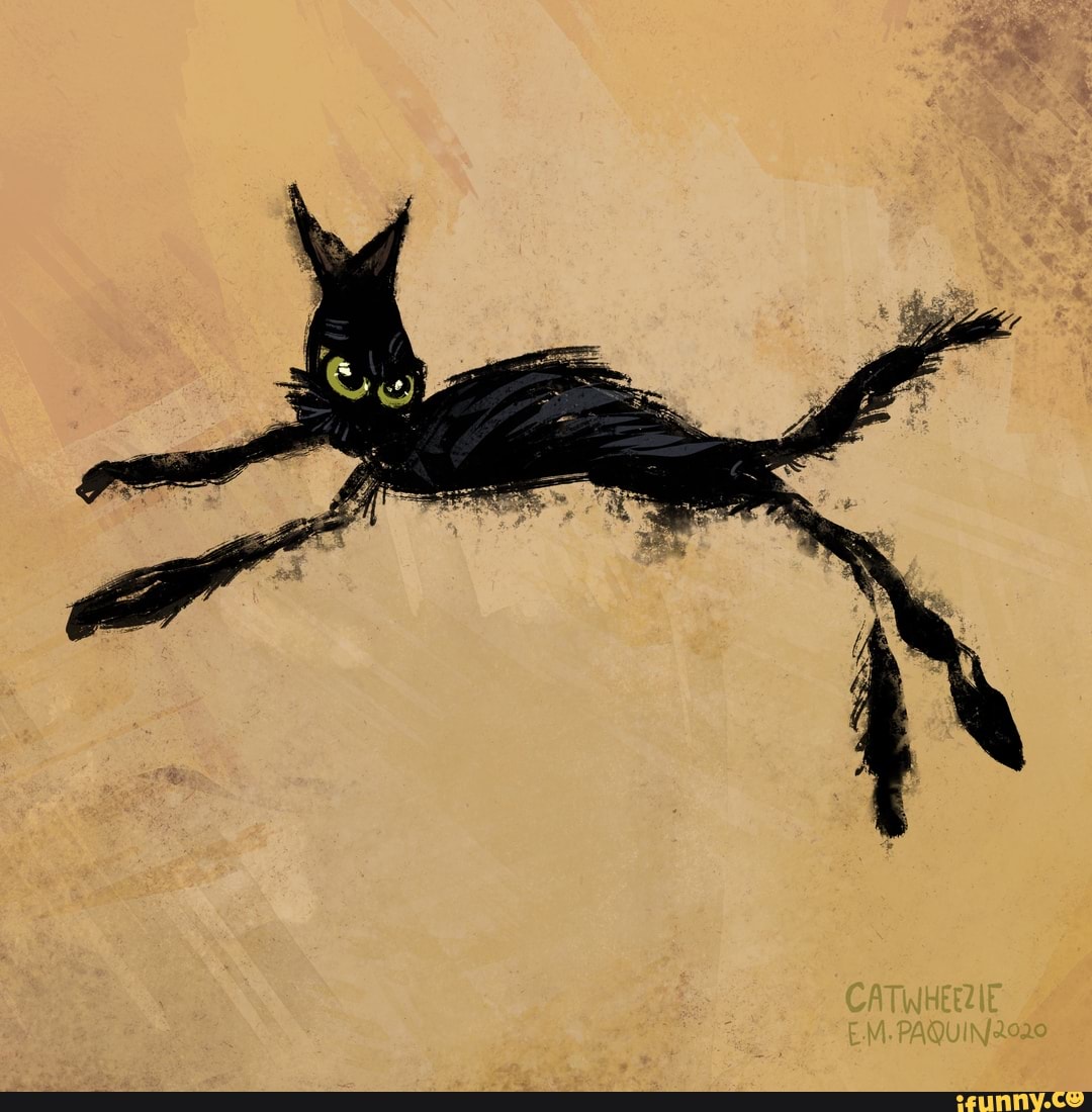Cursed Cats (@cursedcatsdaily) / X
