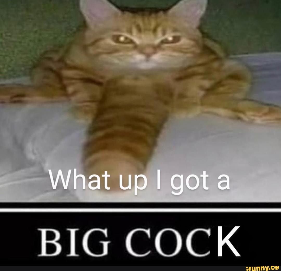 What up I got BIG COCK - iFunny Brazil