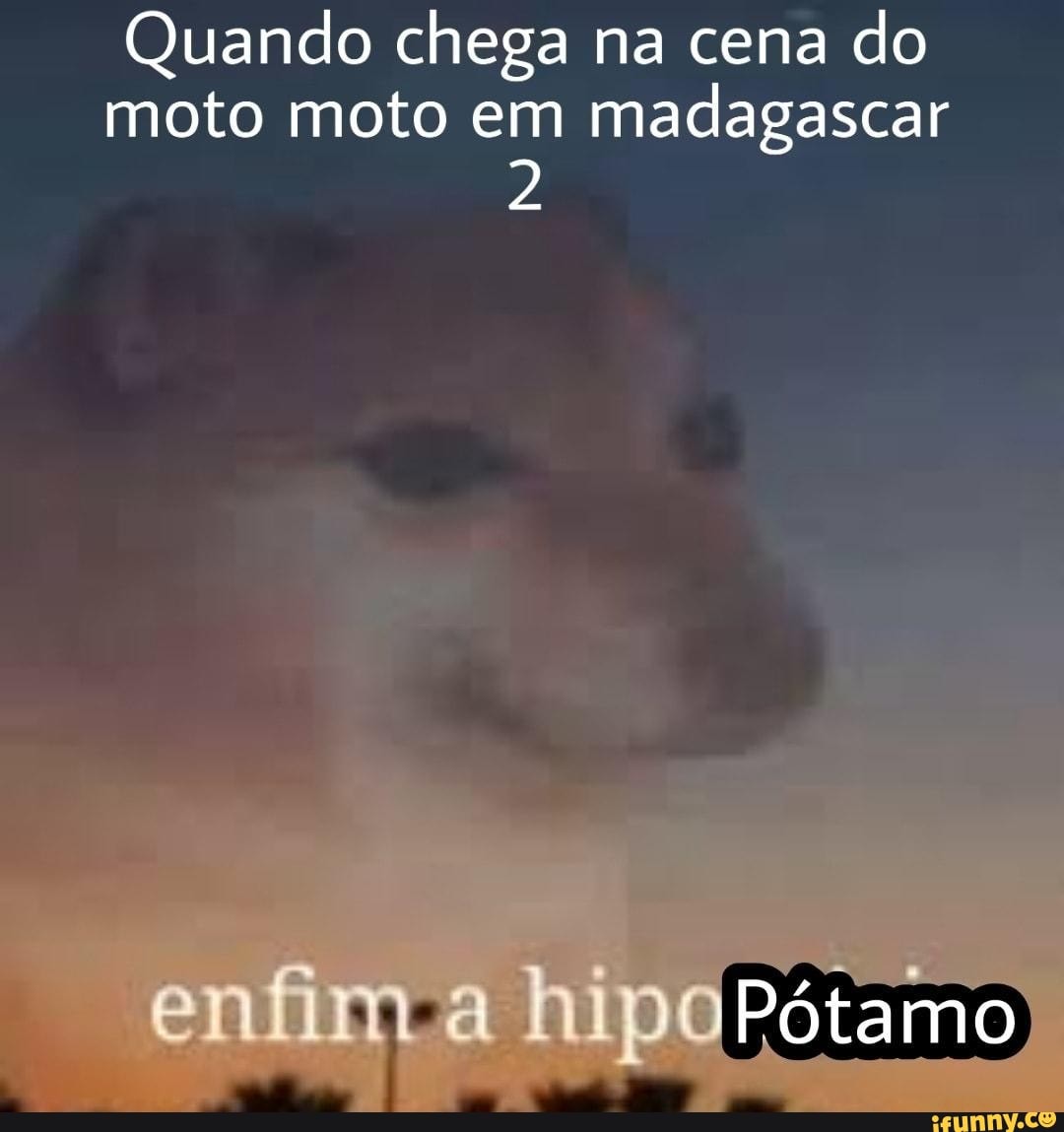 Quando chega na cena do moto moto em madagascar entna hipoPótamo - iFunny  Brazil