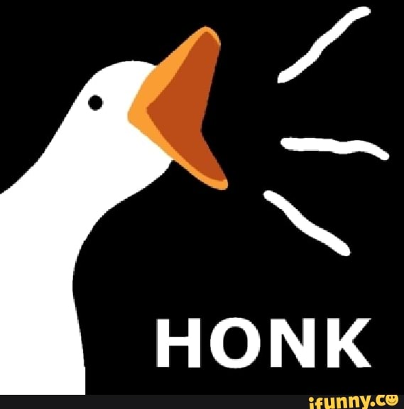 Goose memes. Best Collection of funny Goose pictures on iFunny Brazil