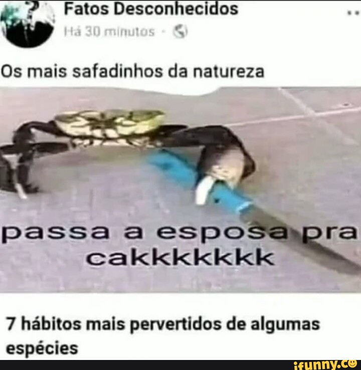 memes em imagens safadinhos