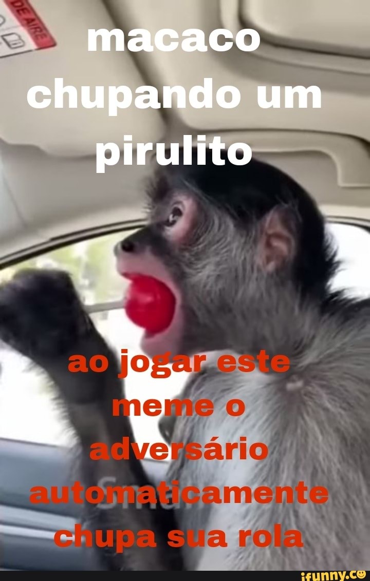 Macaco chupando um pirulito ao are - iFunny Brazil