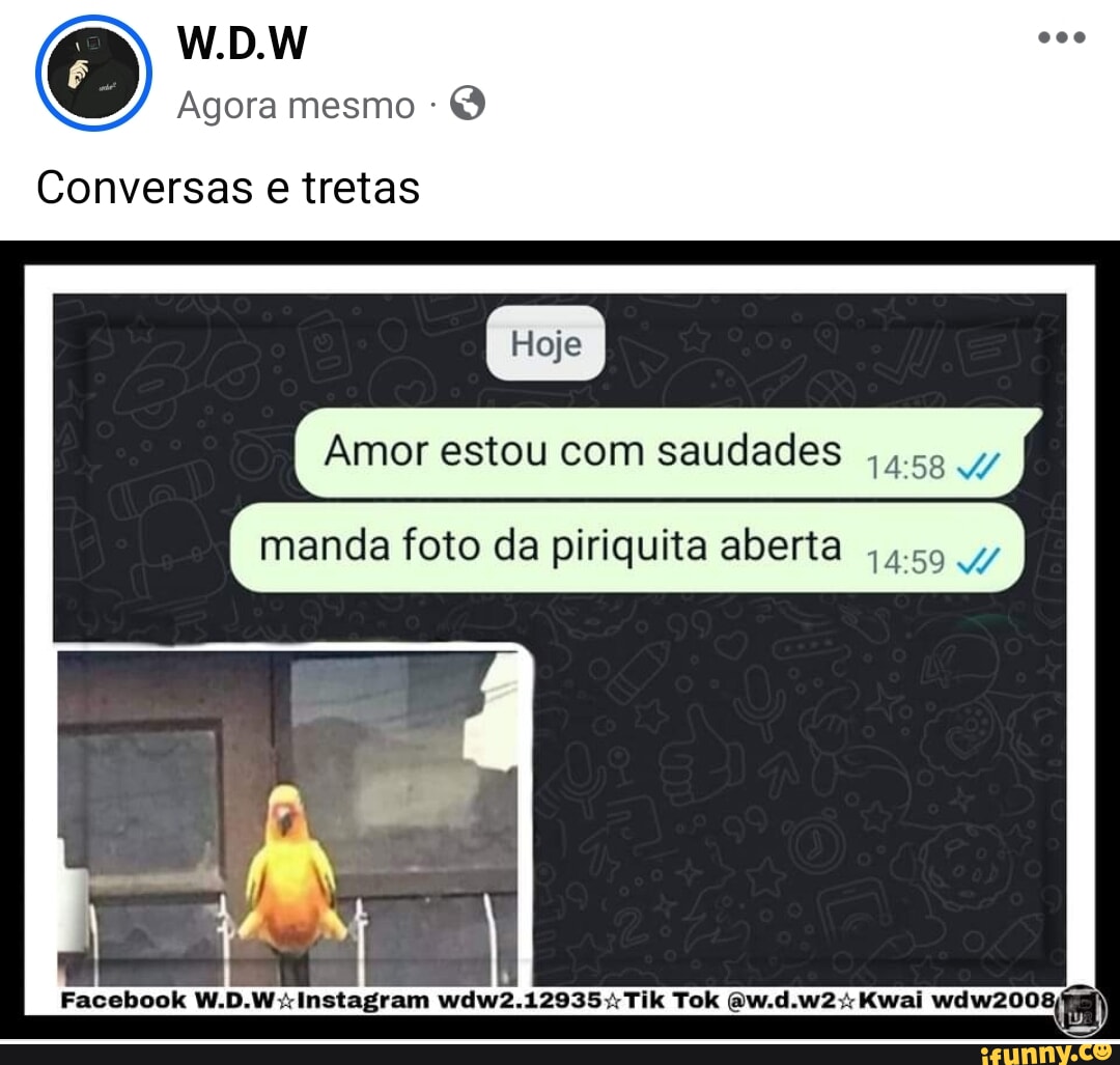 Piriquita memes. Best Collection of funny Piriquita pictures on iFunny  Brazil