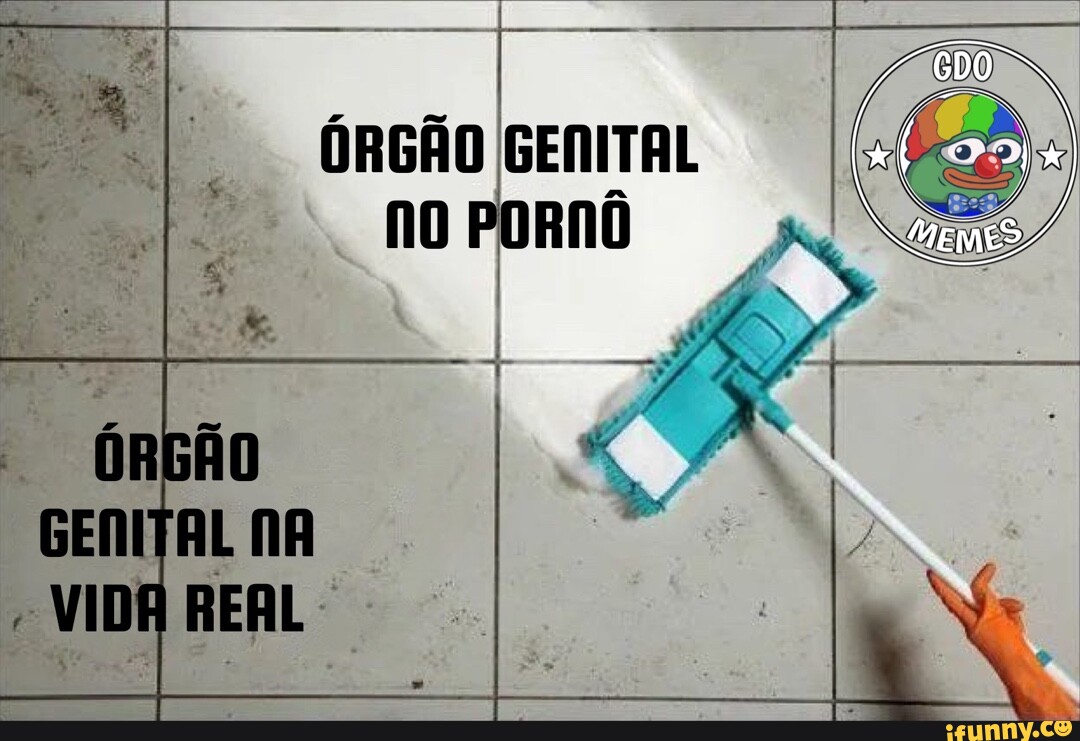 ÓRGÃO GENITAL no PORnÔ - iFunny Brazil