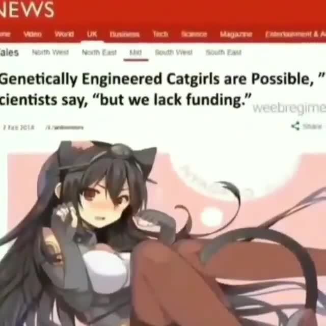 Imo the right one is not that bad, Genetically Engineered Catgirls