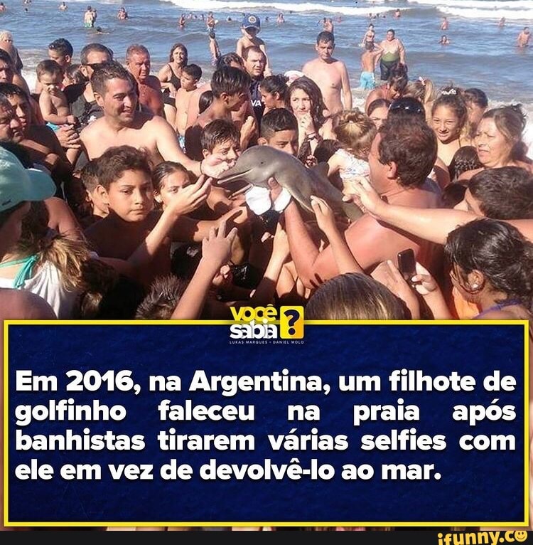 Brotando memes. Best Collection of funny Brotando pictures on iFunny Brazil