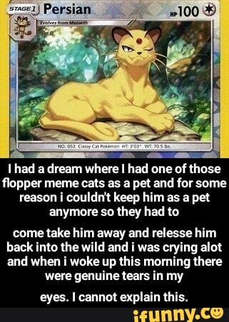 Pokemon Floppa 100