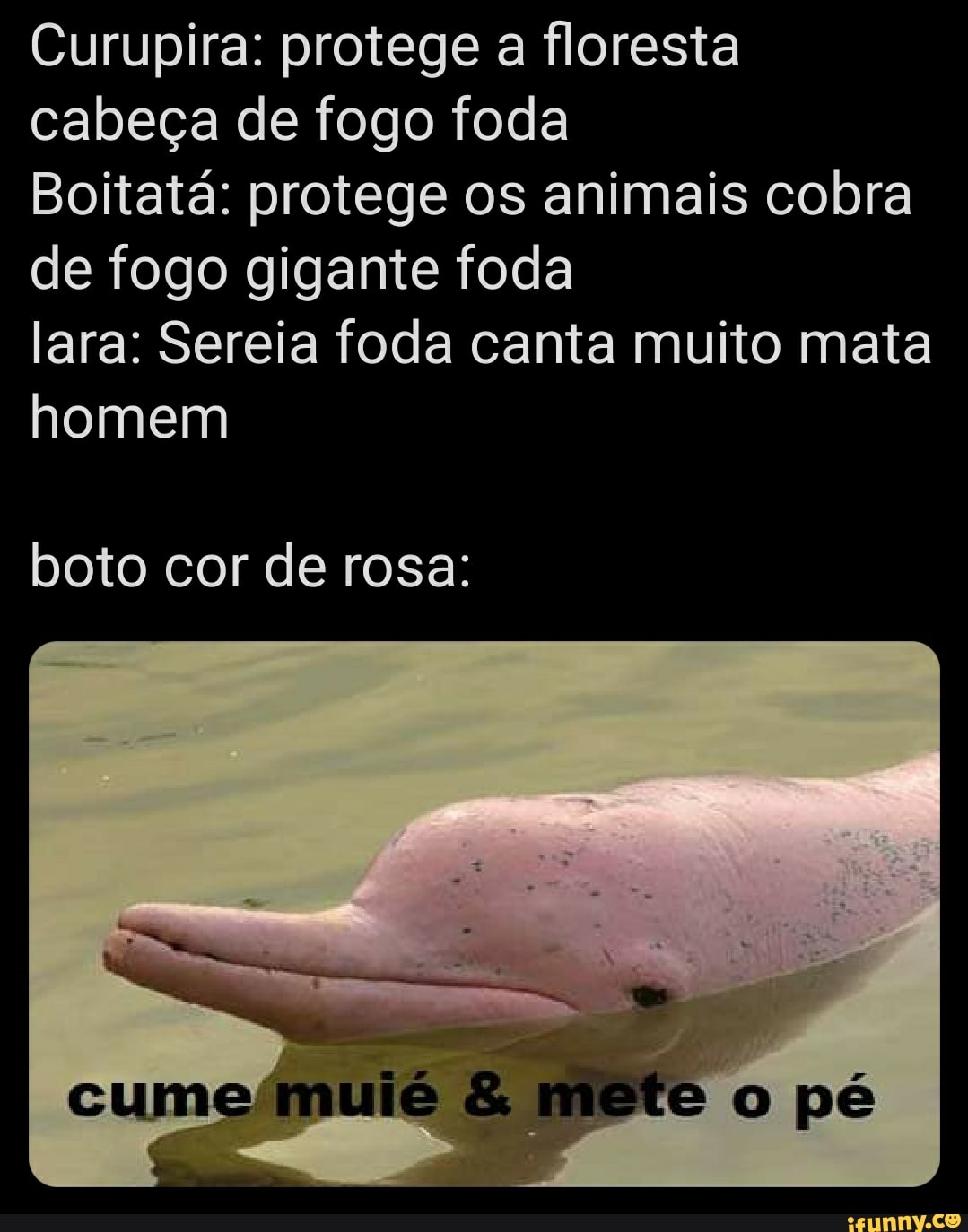 Curupira: protege a floresta cabeça de fogo foda Boitatá: protege os  animais cobra de fogo gigante foda lara: Sereia foda canta muito mata homem  boto cor de rosa: O pé - iFunny