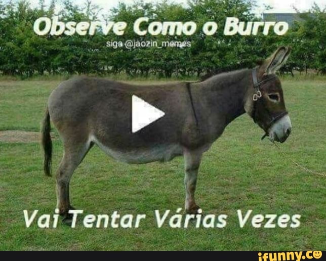 CHAMA ELE DE BURRO POR TER DITO SEJE AO INVÉS DE SEJA - Gerador de Memes  Online