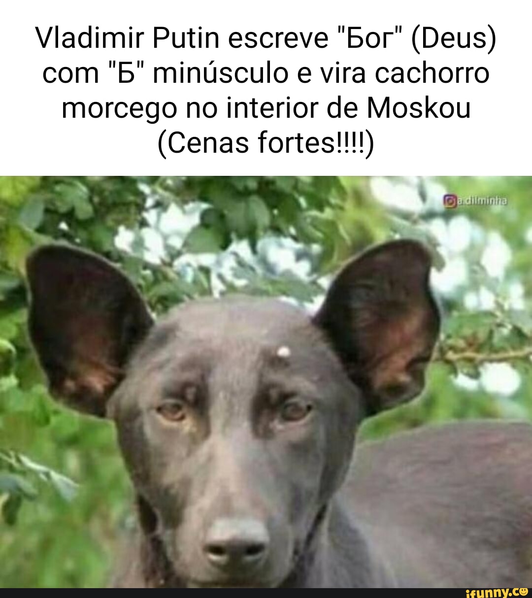 Minúsculo memes. Best Collection of funny Minúsculo pictures on iFunny  Brazil