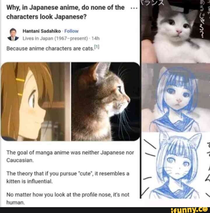 I Saw A Theory That All Anime Characters Are Drawn Based On Cat