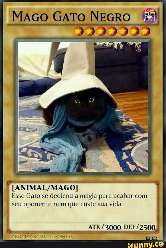 Um feitiço poderoso! 👍 #gatos #cat #rpg #mago #gato #memes #humor