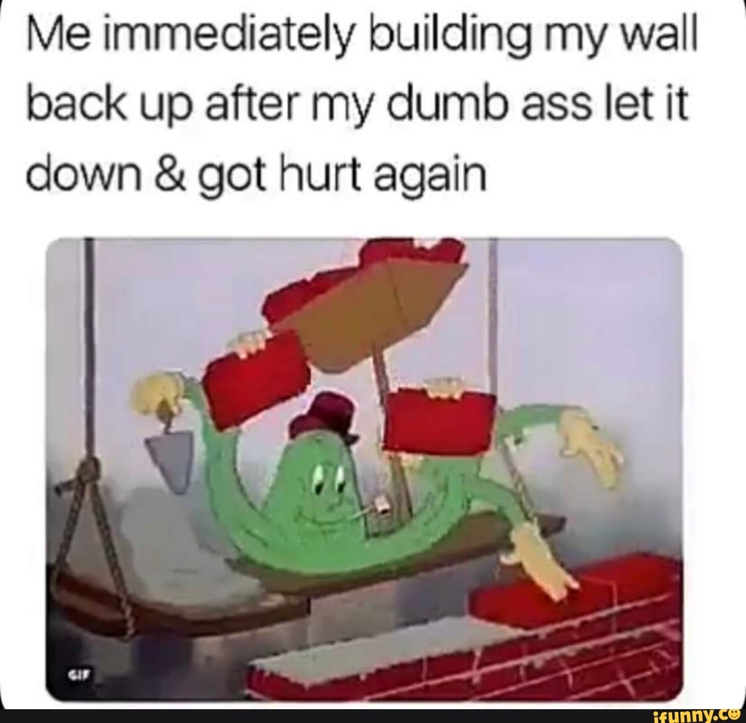 Me immediately building my wall back up after my dumb ass let it down got  hurt again - iFunny Brazil