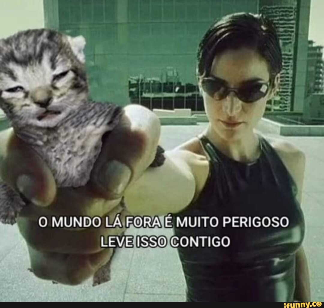 Muimto memes. Best Collection of funny Muimto pictures on iFunny Brazil