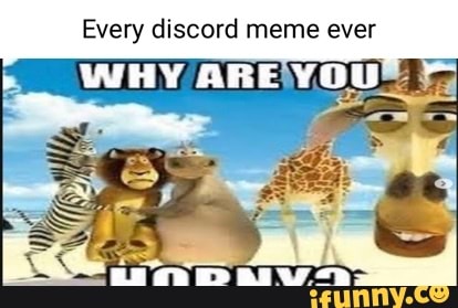 memes do discord nelman Madagascar