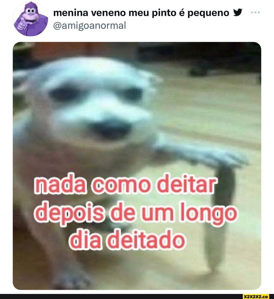 Menina veneno meu pinto é pequeno (Wamigoanormal como dep de um longo  diardeitado - iFunny Brazil