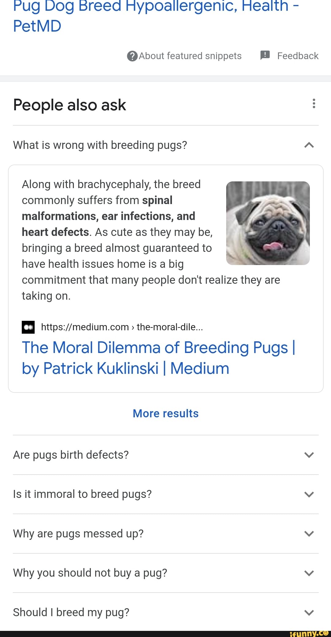 Rug DOg breed Hypoallergenic, nealtn PetMD About featured snippets