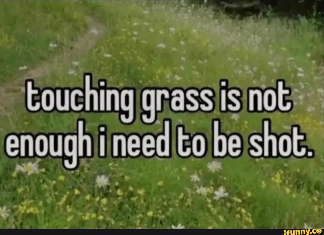 On the Need to Touch Grass