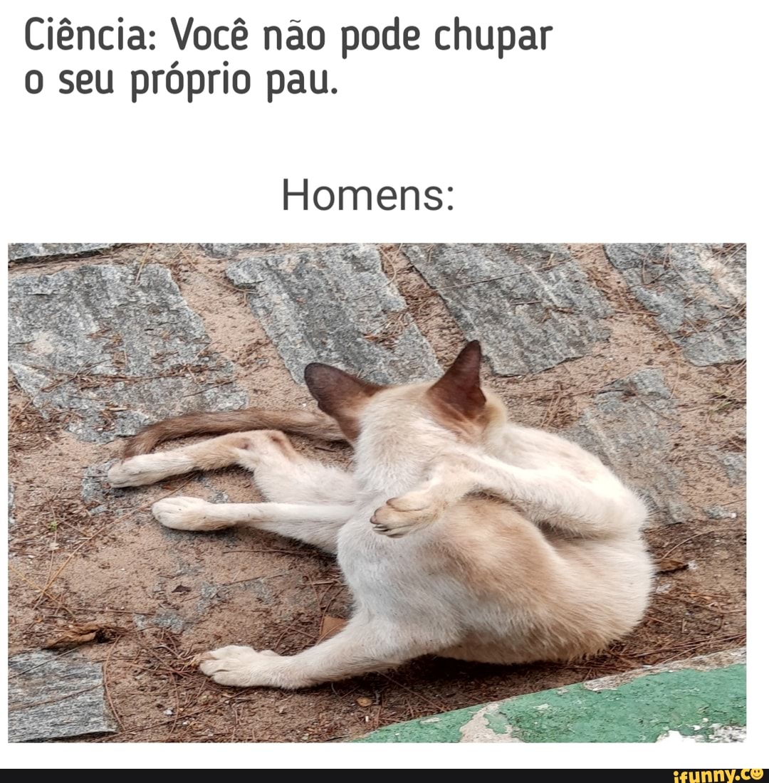 Ciência: Você não pode chupar o seu próprio pau. Homens: - iFunny Brazil