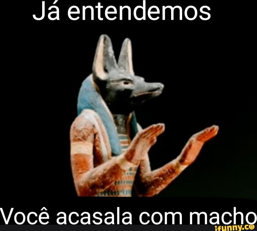 Já entendemos Você acasala com macho - iFunny Brazil