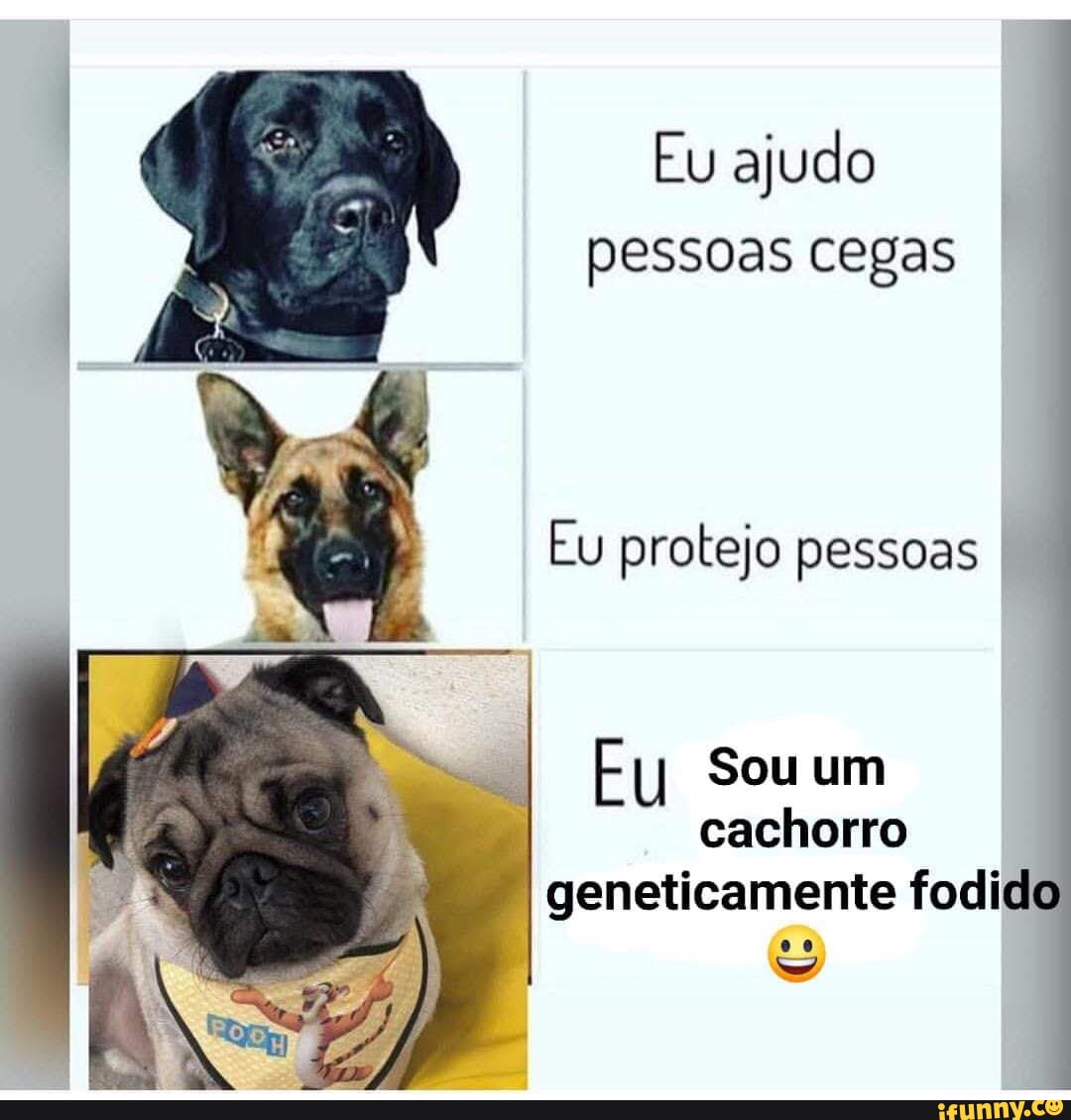 Modicado memes. Best Collection of funny Modicado pictures on iFunny Brazil