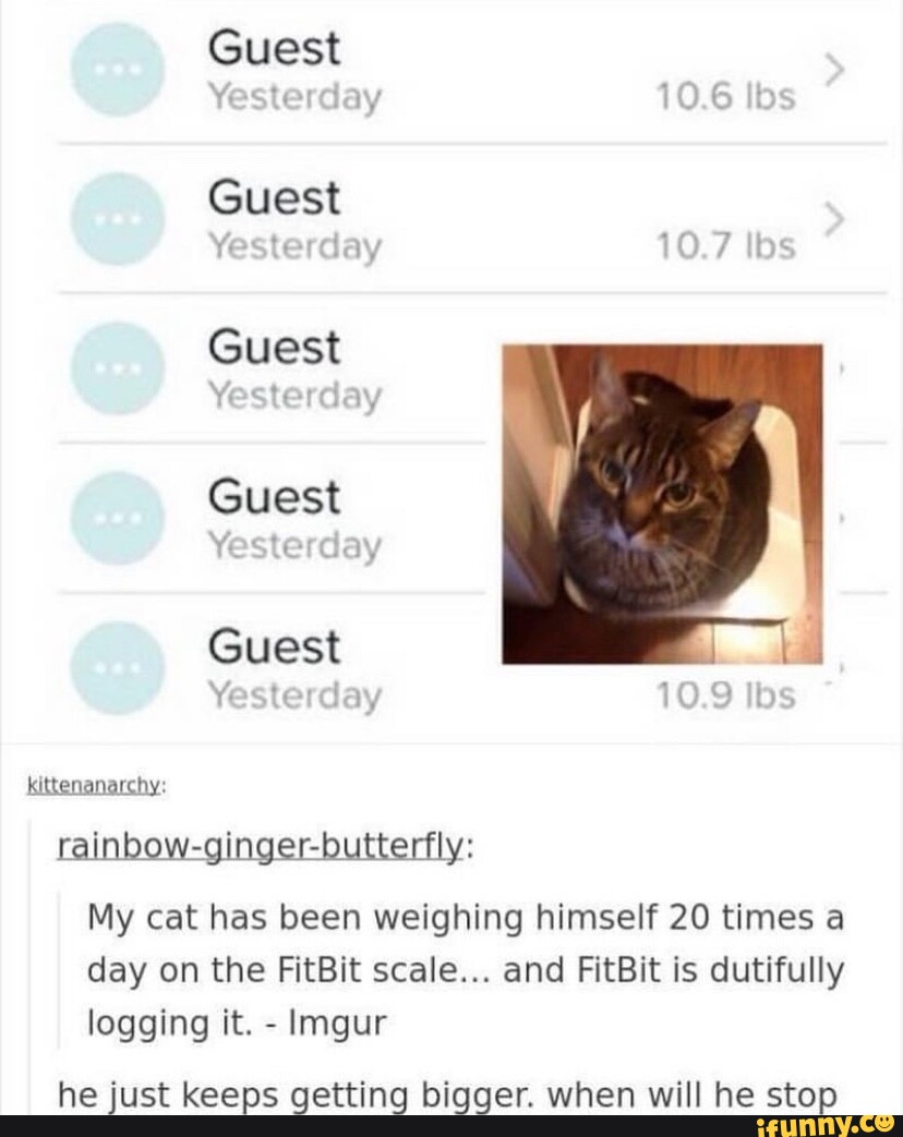 Fitbit for hot sale cats