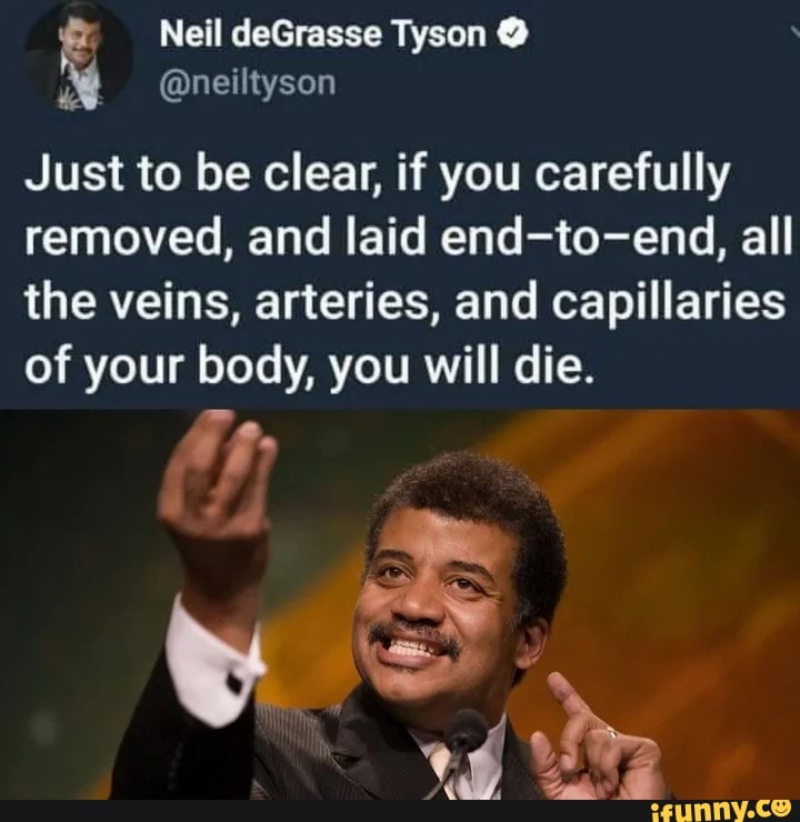 neil degrasse tyson meme but it do