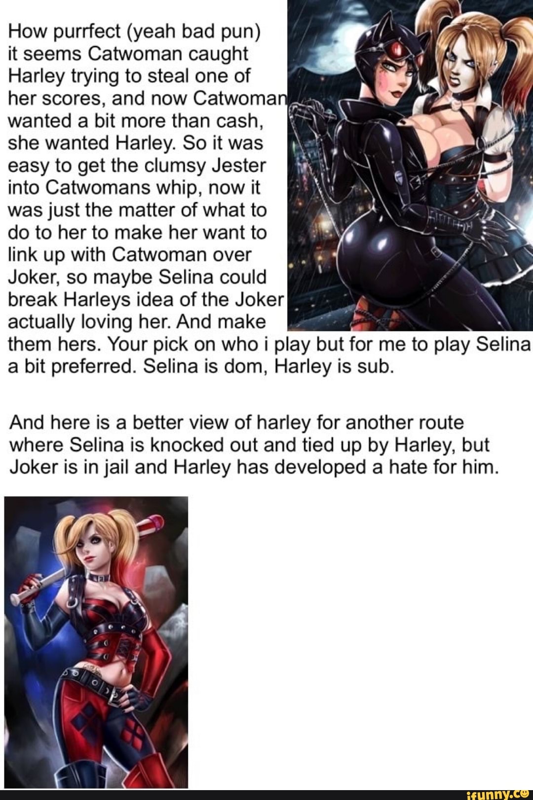 How purrfect (yeah bad pun) it seems Catwoman caught Harley trying to steal  one of her