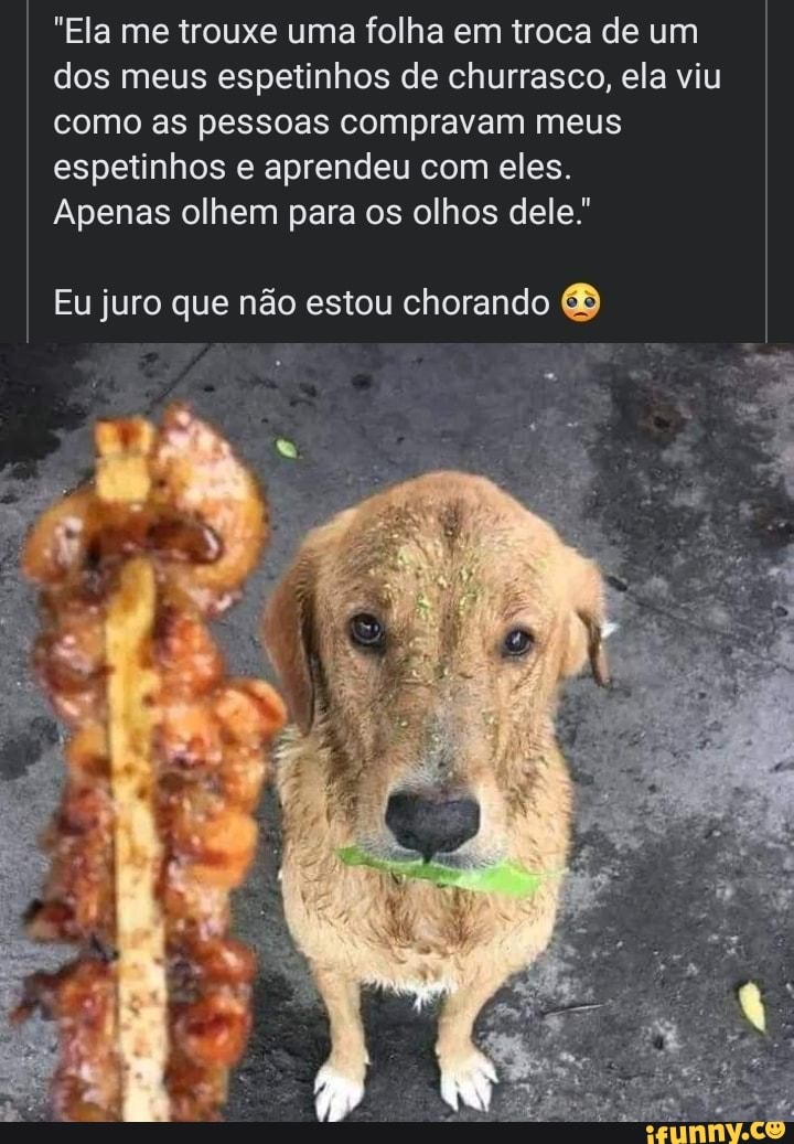 Q me mostre algo triste x Todas Imagens Vídeos Notícias Maps Shoppin  lnventei fazer um Churrasquinho aqui - iFunny Brazil