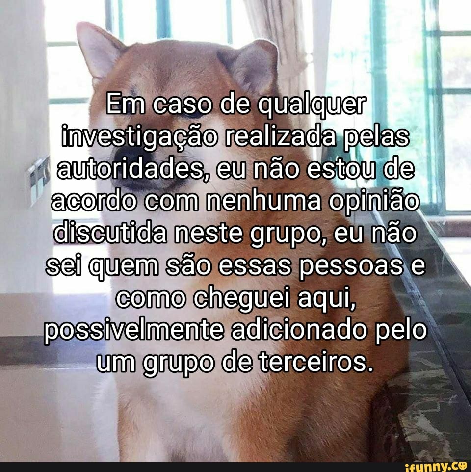 Ossivelmente memes. Best Collection of funny Ossivelmente pictures on  iFunny Brazil