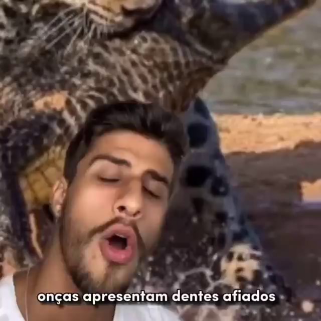 Fino senhores apenas clássicos Hipopotamo e o Cachorro 17 mi de  visualizações há 15 anos 91 mil Não gostei Compartilhar Download Clipe Sai  - iFunny Brazil