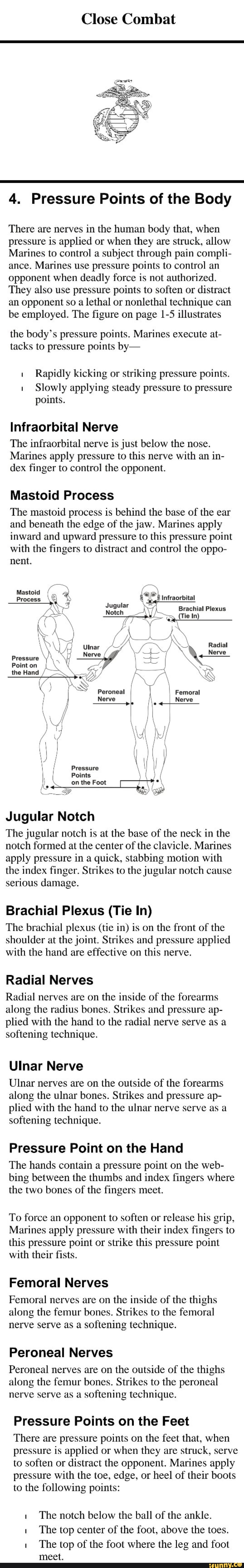 Close Combat 4. Pressure Points of the Body There are nerves in the ...