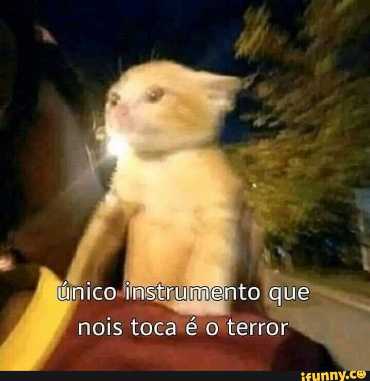 Minúsculo memes. Best Collection of funny Minúsculo pictures on iFunny  Brazil