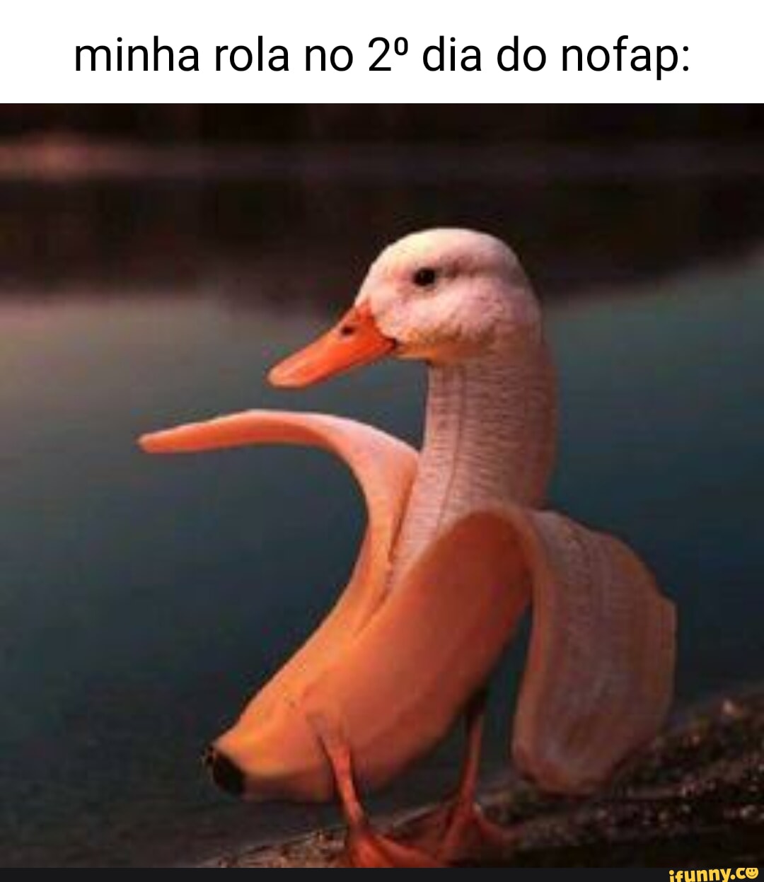 Minha rola no dia do nofap: - iFunny Brazil