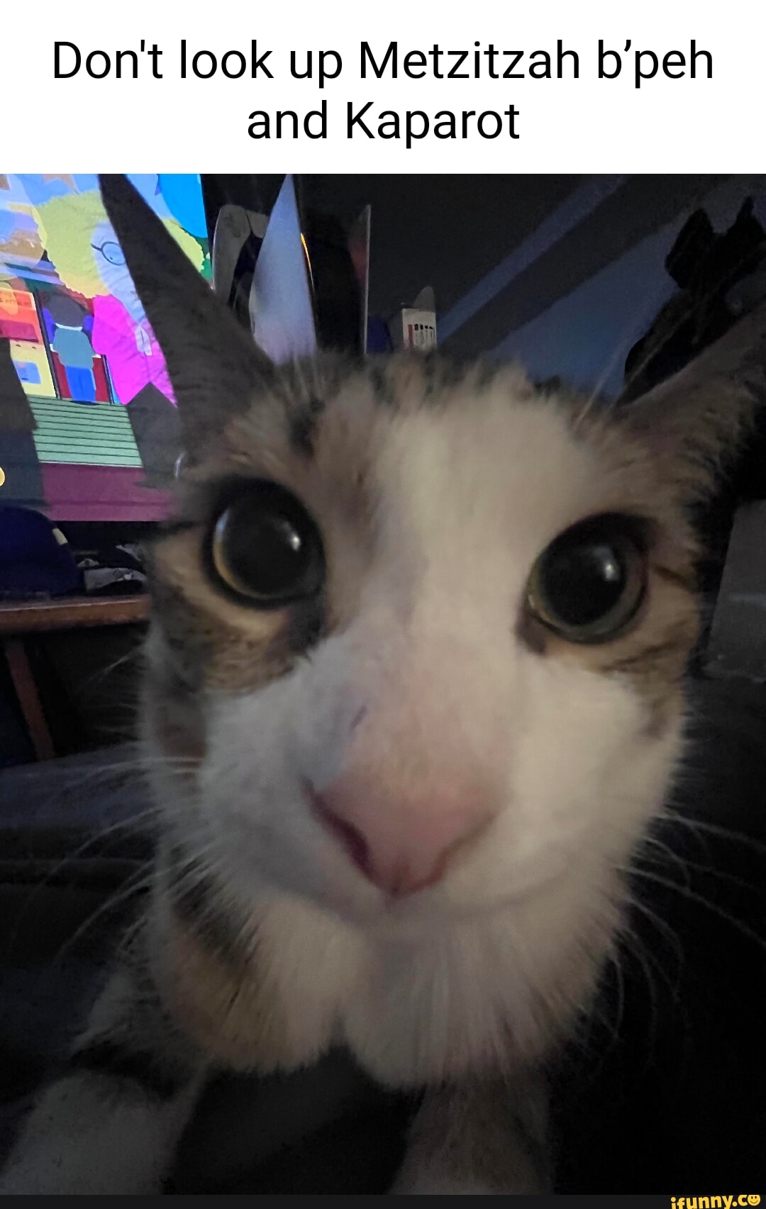 Don't look up Metzitzah b'peh and Kaparot iFunny Brazil