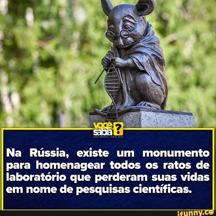 A vida (e a morte) de um rato de laboratório