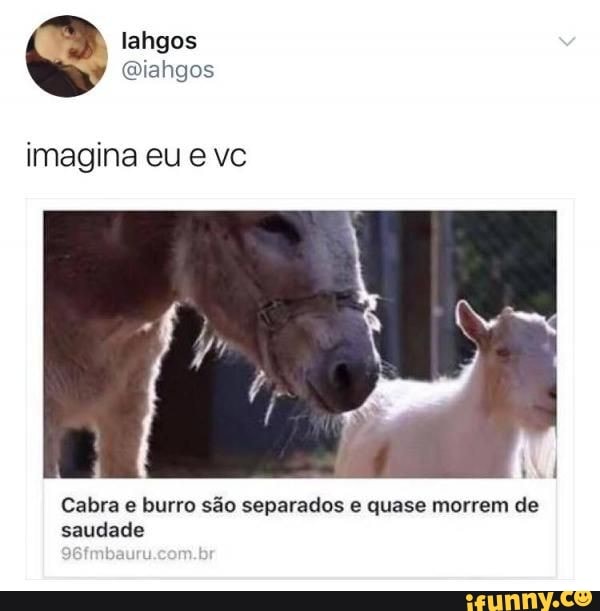 O GABS É MUITO BURRO!!!!!!!!! 