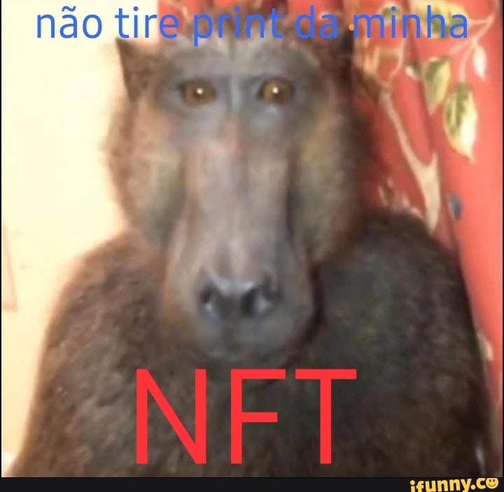 Inacreditável que o bruno diferente vai ser pai Bom galera sinto em  informar messes manaaÃo sá nasa 02 abr 23 274K Visualizações - iFunny Brazil