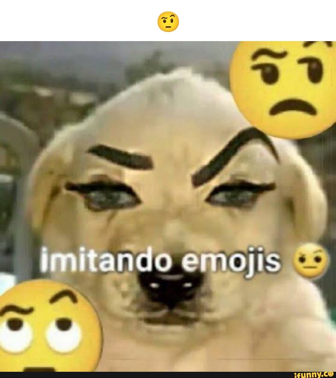 Quem usa esse emoji é faixa preta em dar o c* aos Usa esses emojis = /  nunca viu um peitinho PAREM DE SE DIVERTIR! I Fino sefiores - iFunny Brazil