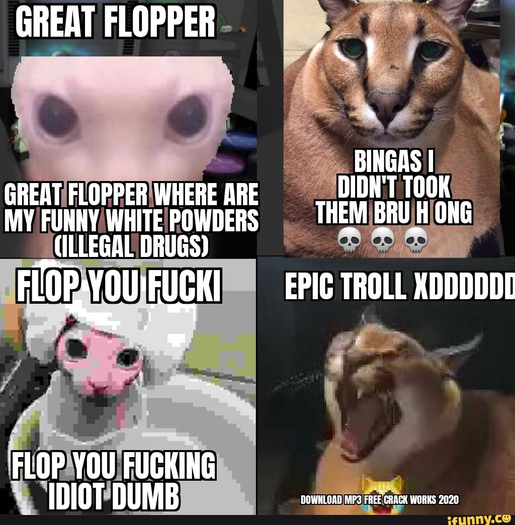 Flopando memes. Best Collection of funny Flopando pictures on iFunny Brazil