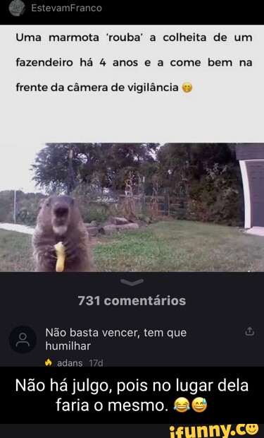 NPC, marmota e mais: os memes que dão dinheiro a brasileiros nas redes  sociais