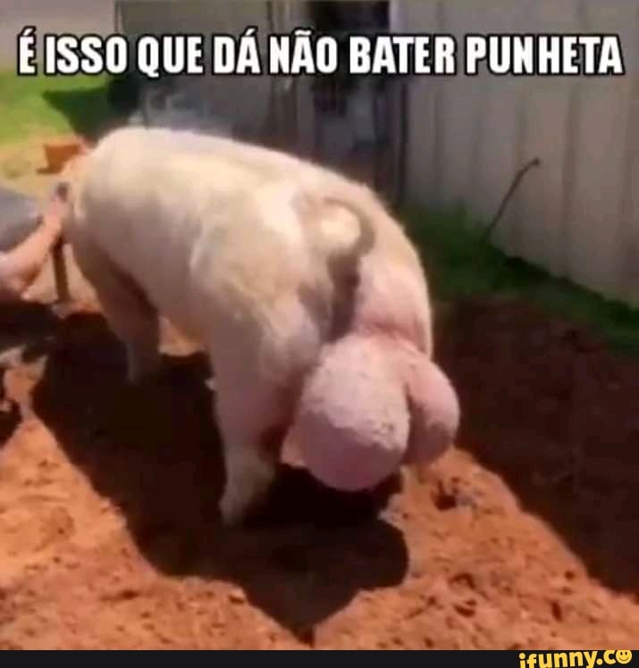 E minha punheta fica como? - iFunny Brazil