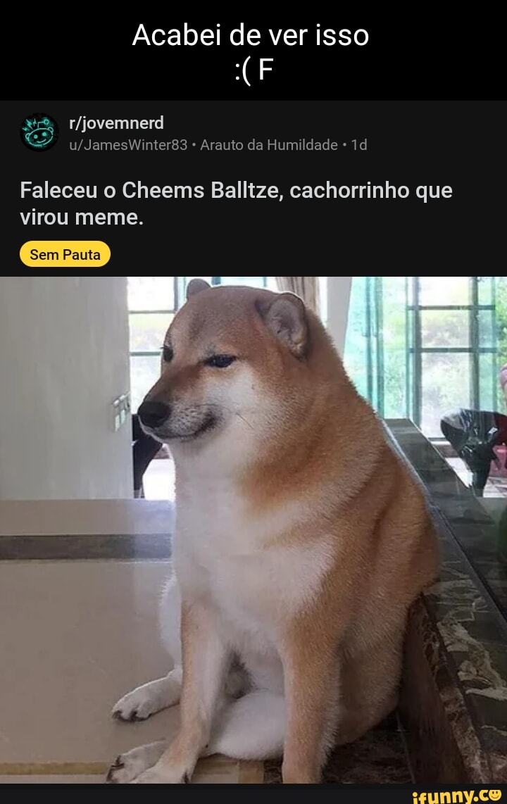 Gente,o cachorro do meme morreu) Press 'F to Pay Respects - iFunny