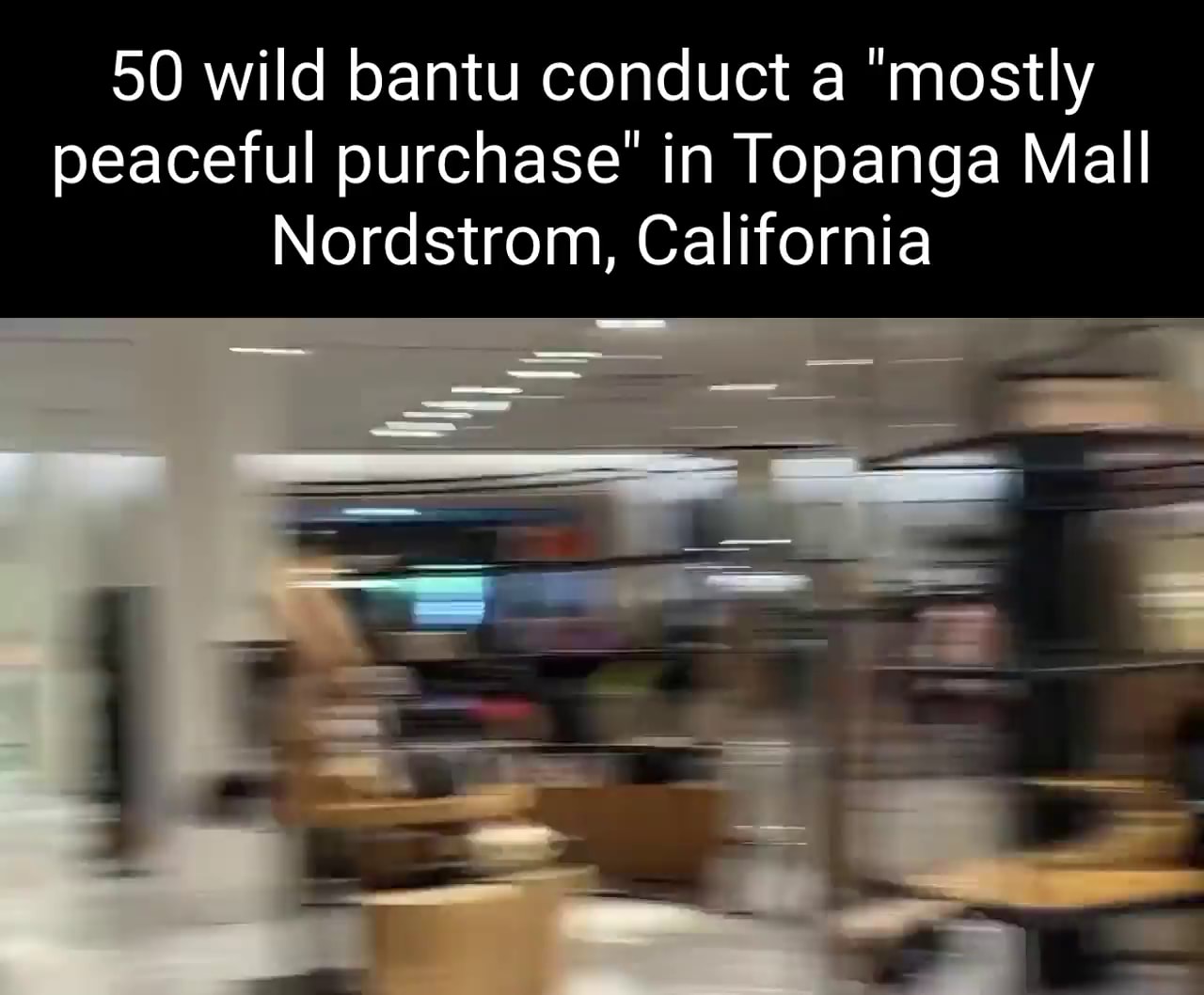 50 wild bantu conduct a mostly peaceful purchase in Topanga Mall