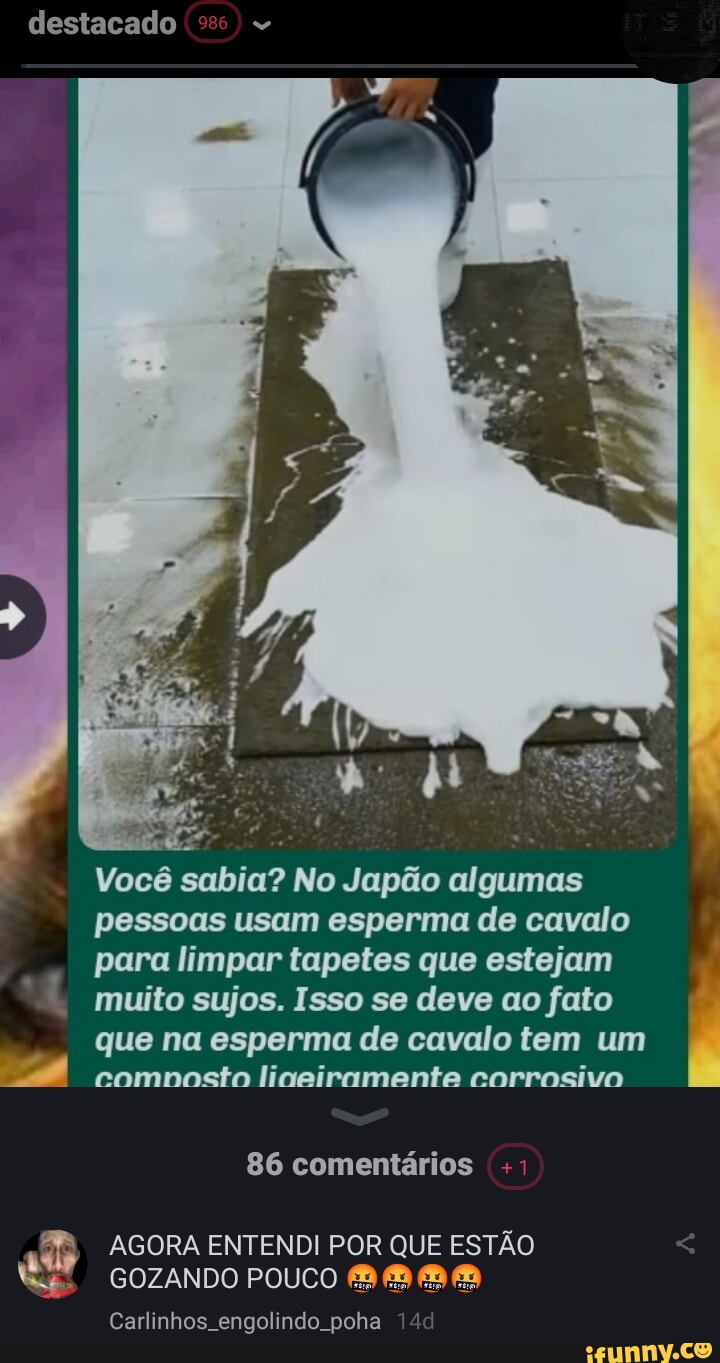 Destacado SN Você sabia? No Japão algumas pessoas usam esperma de cavalo  para limpar tapetes que